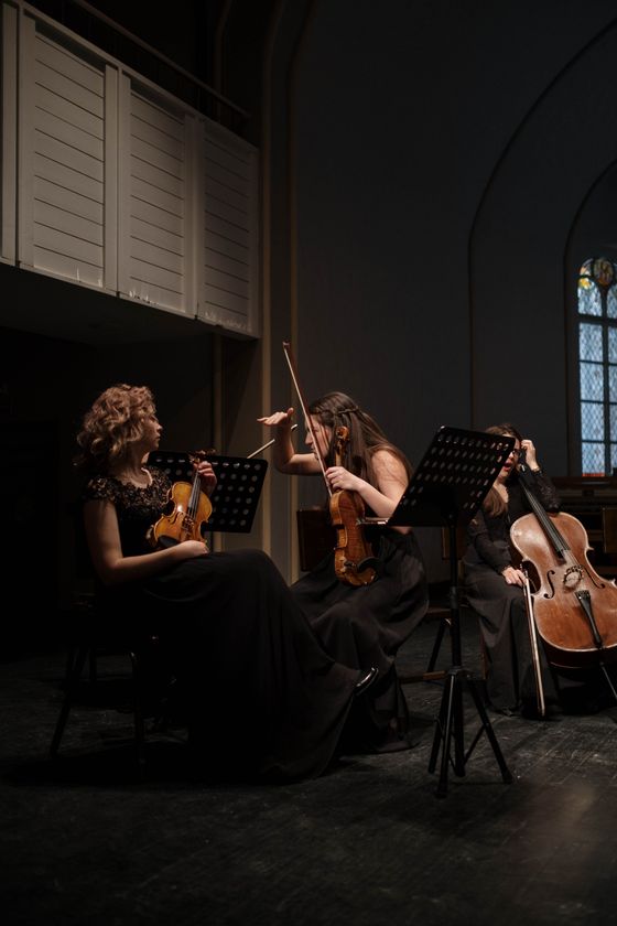 Women musicians performing a symphony together