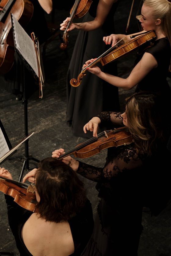 Top view of violinists in an orchestra